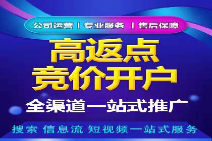 SEM优化策略：实战案例解析与优化技巧
